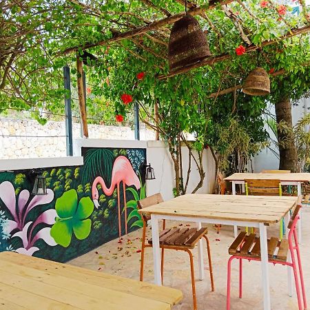 בייהיבה Tribe Inn Jungle & Flamingo מראה חיצוני תמונה