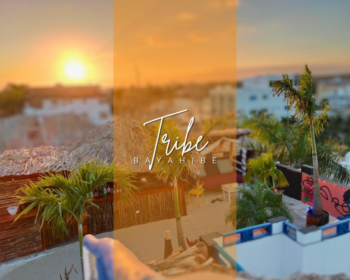 בייהיבה Tribe Inn Jungle & Flamingo מראה חיצוני תמונה